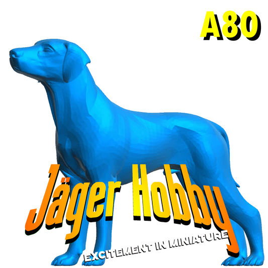 A80 – Scale Model Pointer Dog in Alert Pose – 116, 124, 132, 148 Scales