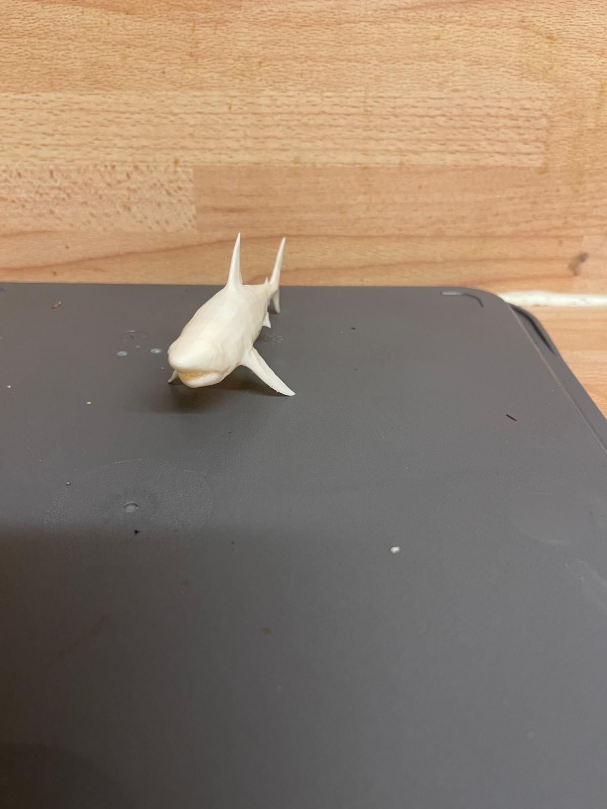 Shark Miniature Model for Marine, Fishing, A40
