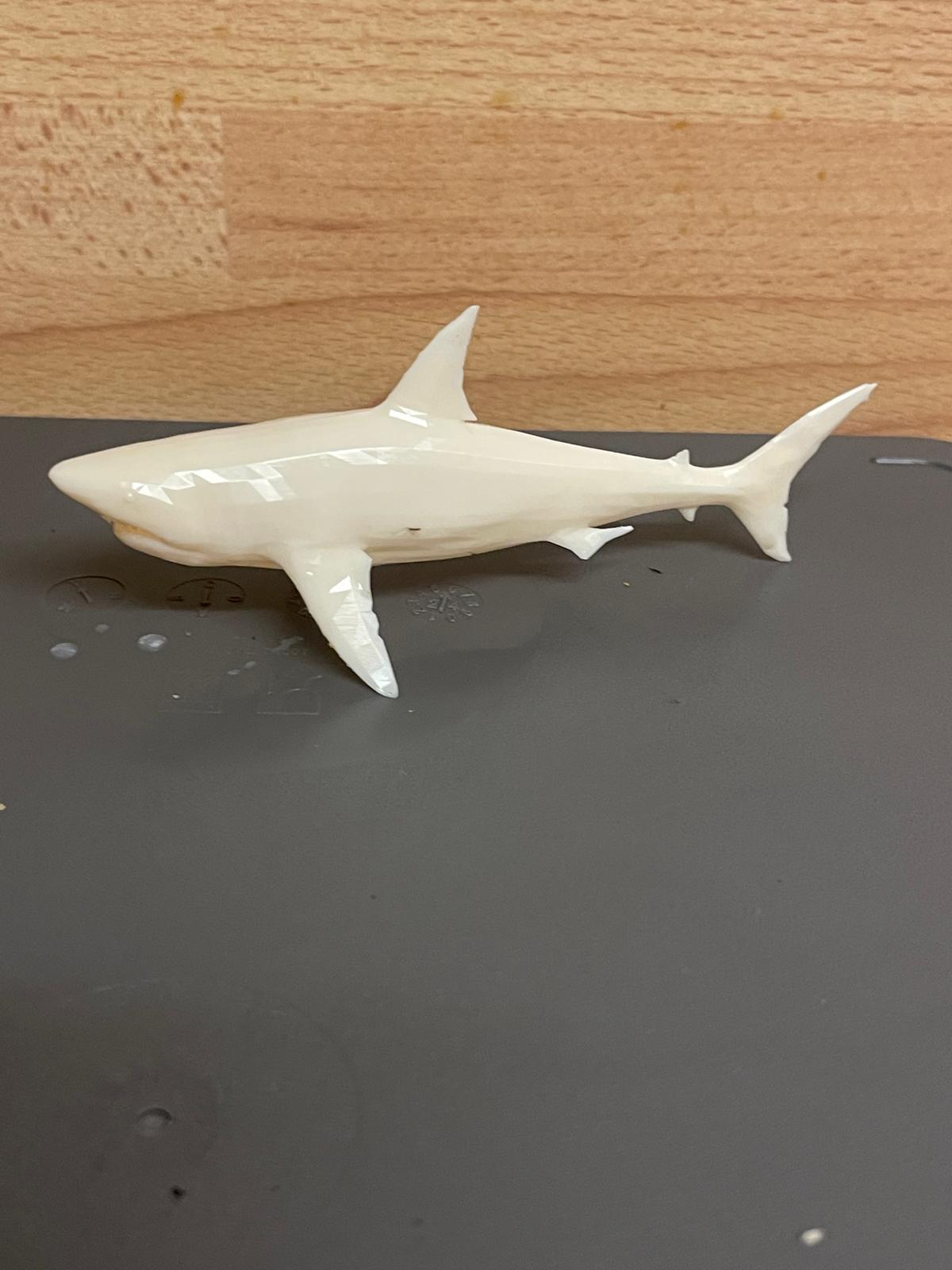 Shark Miniature Model for Marine, Fishing, A40