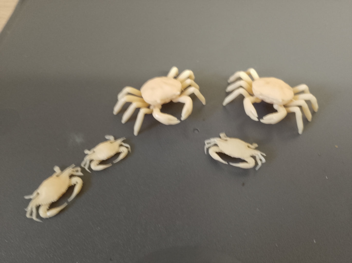 A32 Medium-Sized Model Crabs โ Realistic Marine Detailing for Fishing Boats & Dioramas