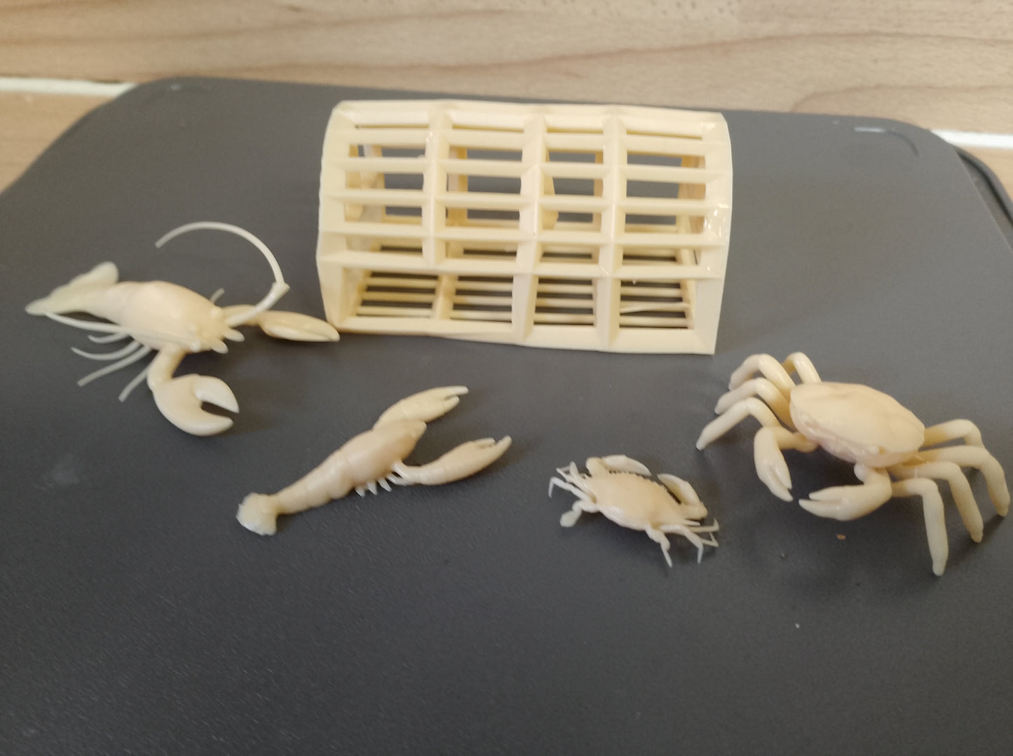 Large Scale Model Crabs A31