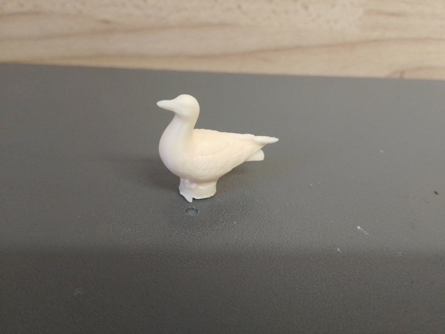 A55 – Seagull for Coastal, Waterfront, and Wildlife Dioramas