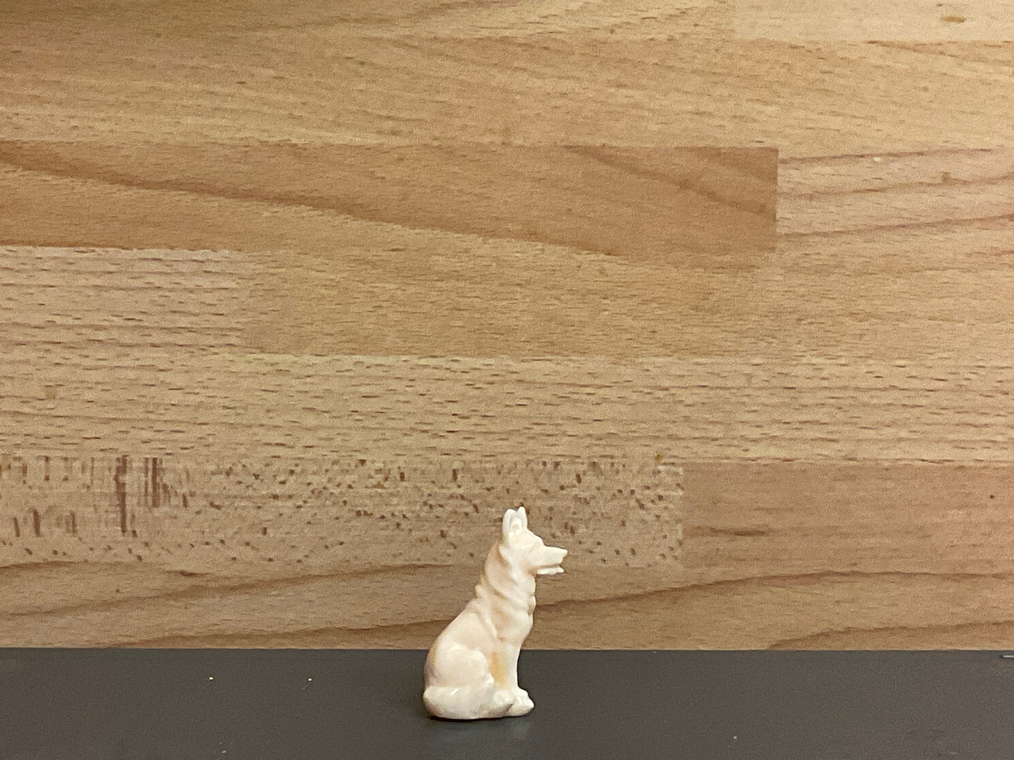 Model Small sat Border Collie dog model ship crew A1