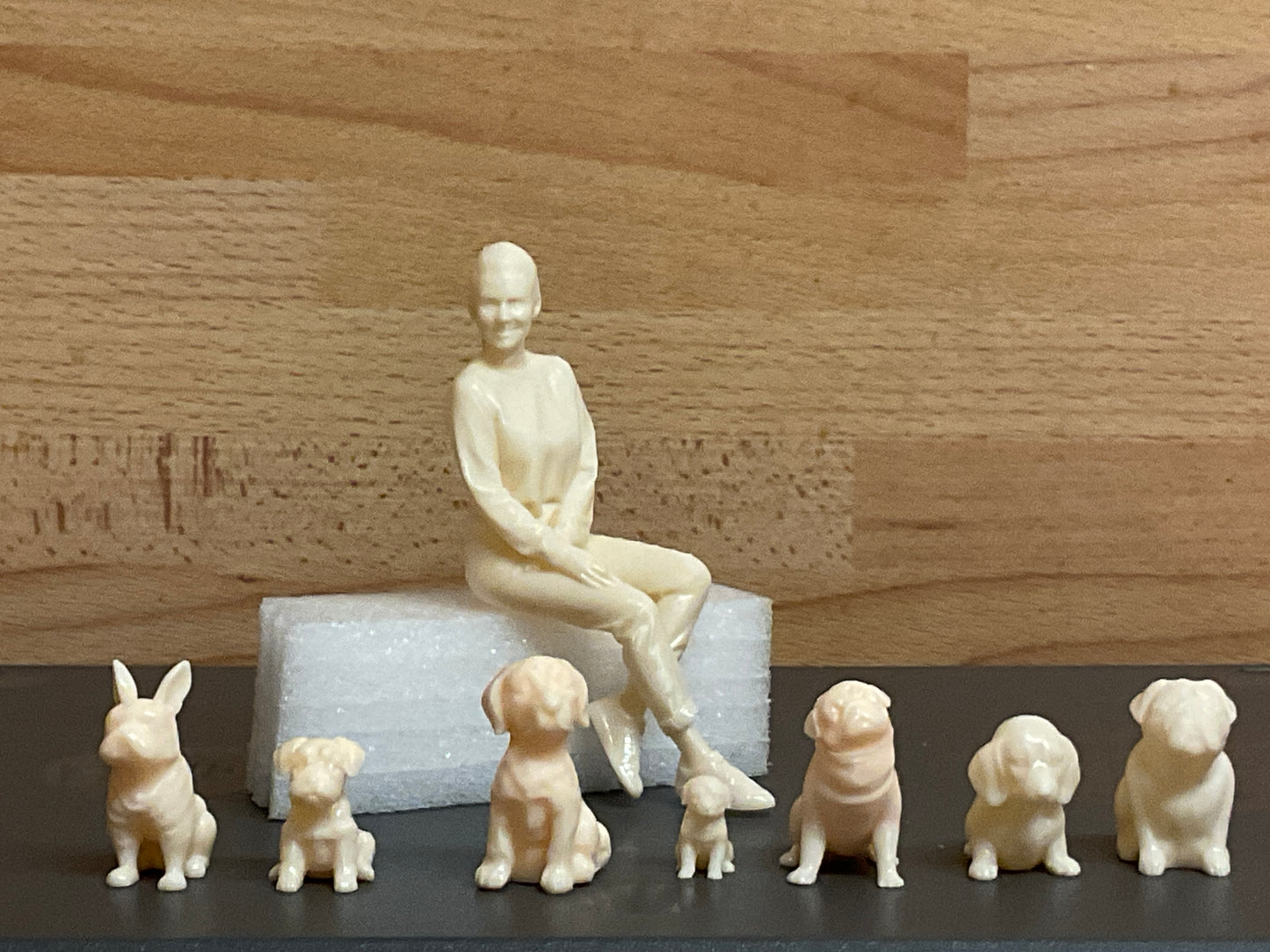 A1 Small sat Border Collie dog model ship crew