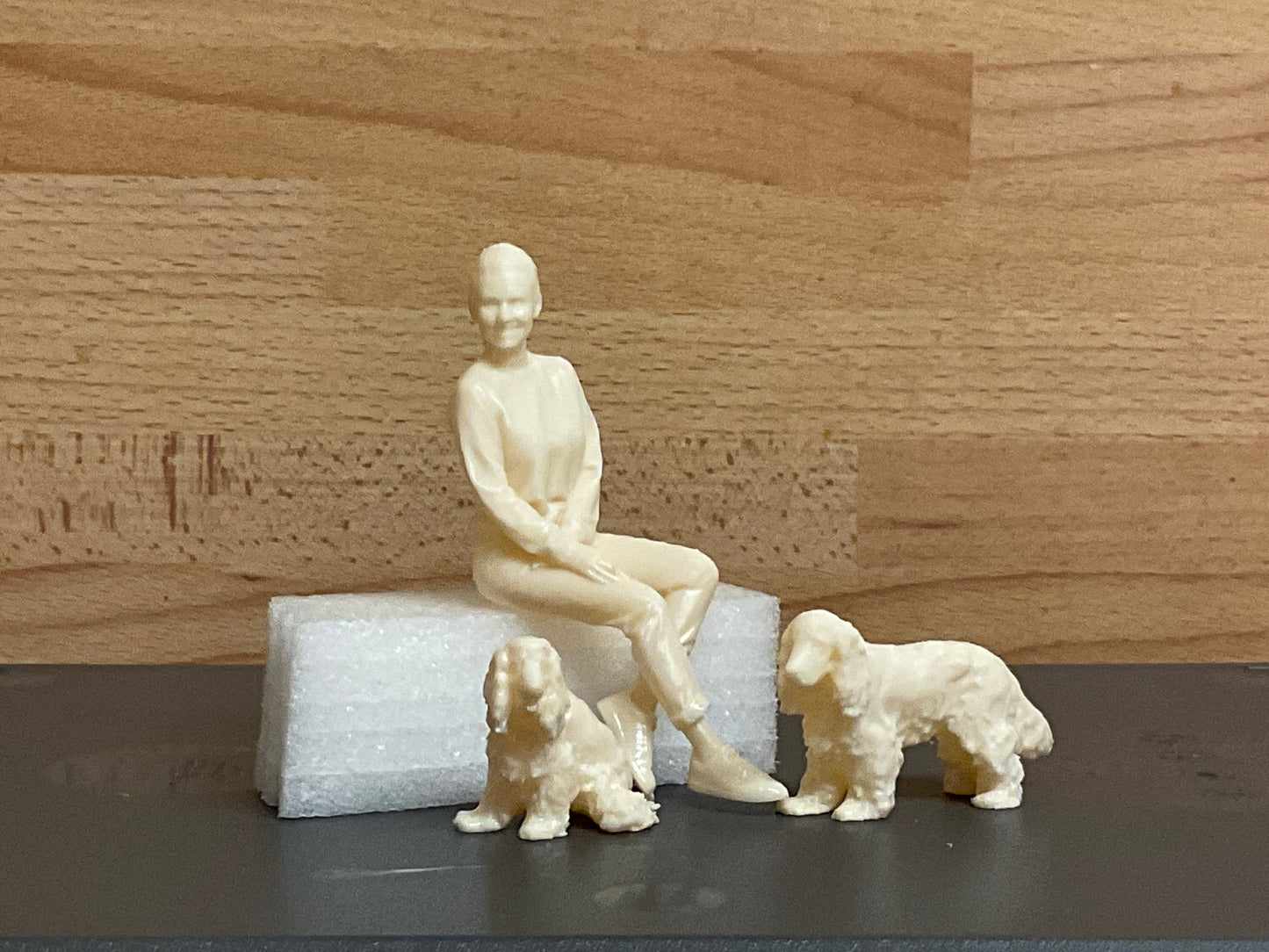 A1 Small sat Border Collie dog model ship crew