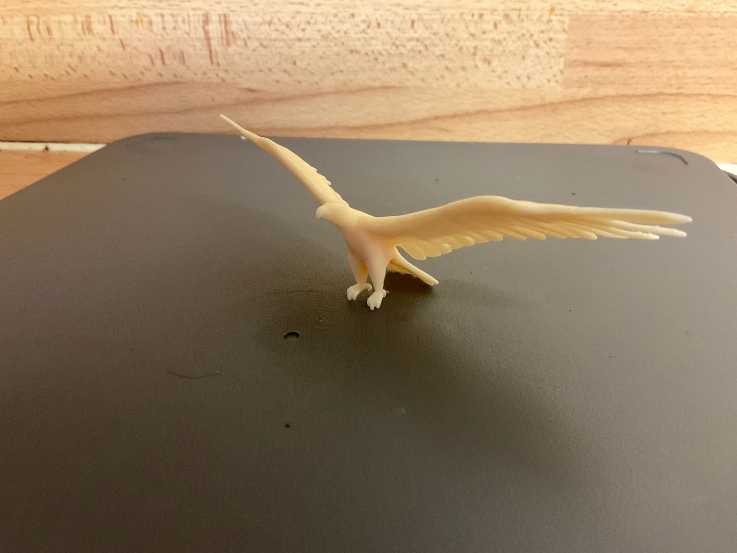 1:14 Scale Eagle Flying for Wildlife, Adventure Dioramas A50