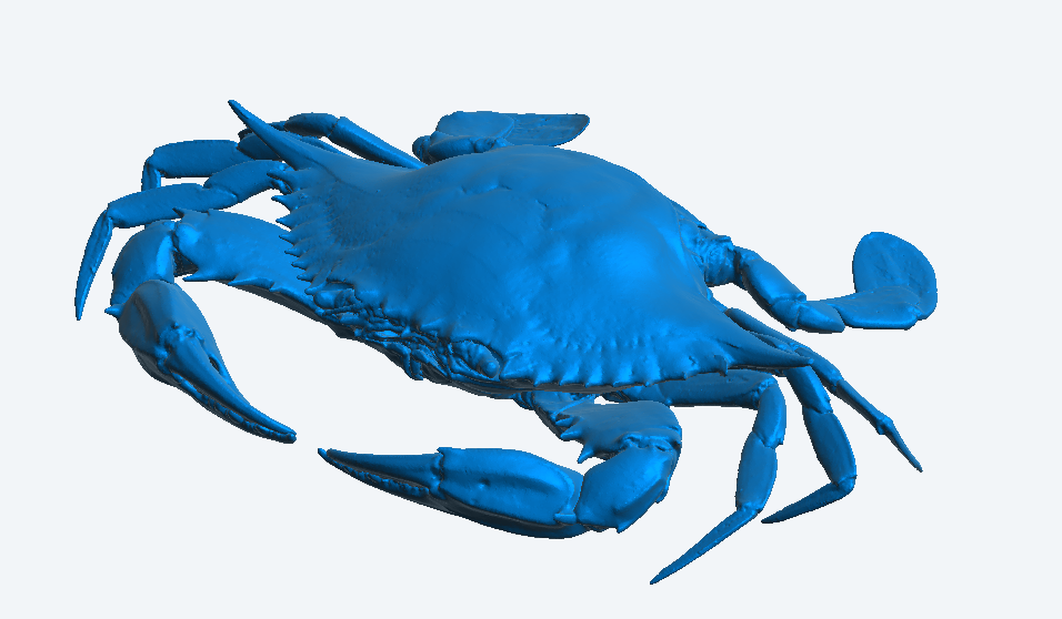 A32 Medium-Sized Model Crabs โ Realistic Marine Detailing for Fishing Boats & Dioramas