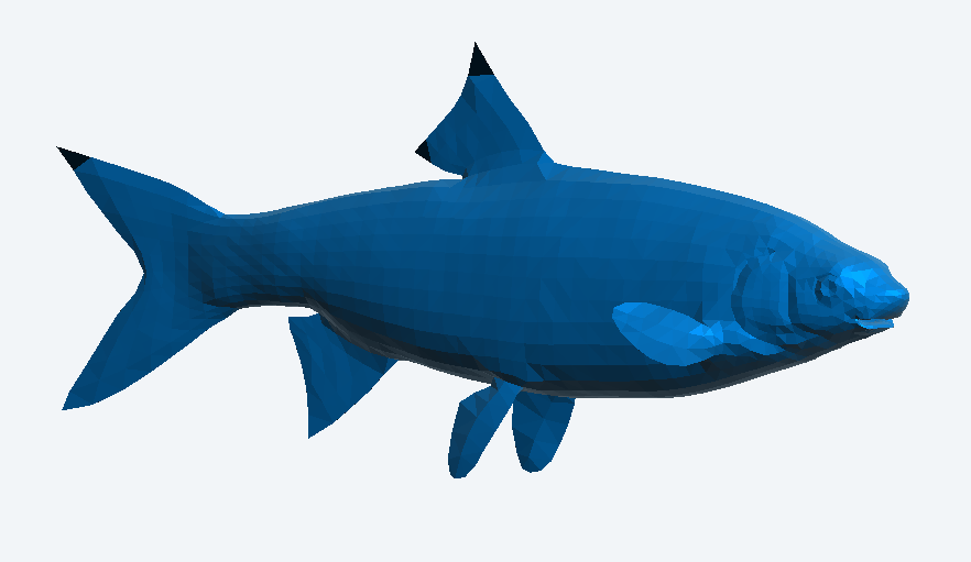 A36 – Set of 2 Scale Model Fish