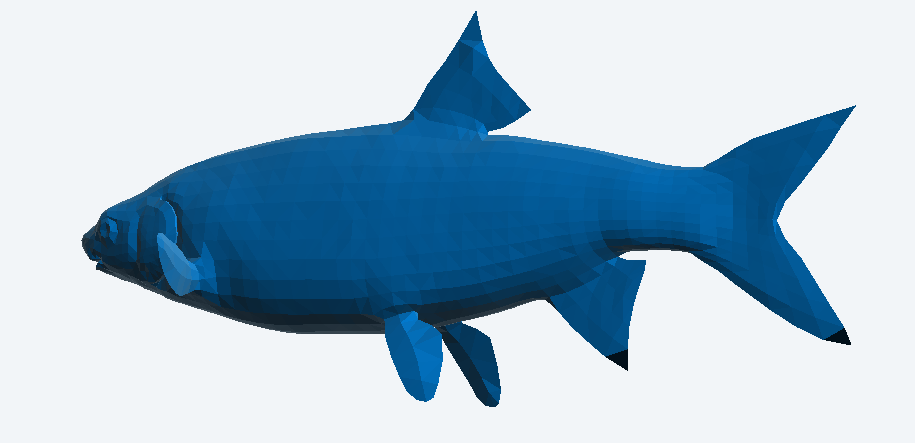 A36 – Set of 2 Scale Model Fish