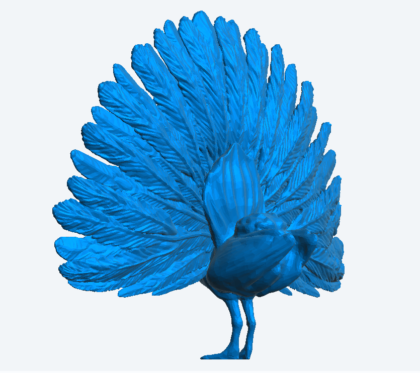 Multi Scale Peacock with Wings Spread A65