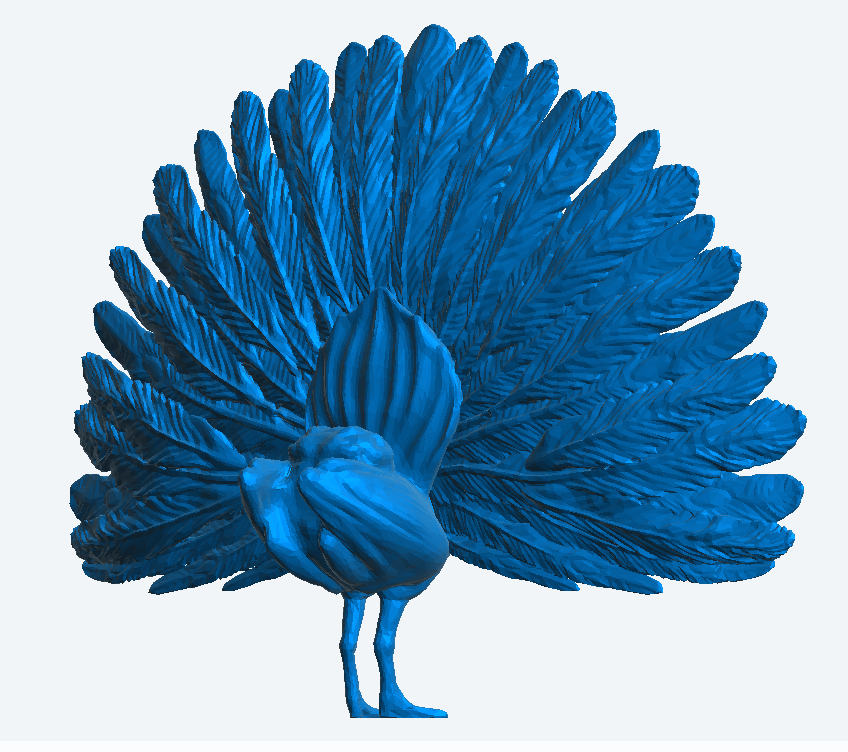 Multi Scale Peacock with Wings Spread A65