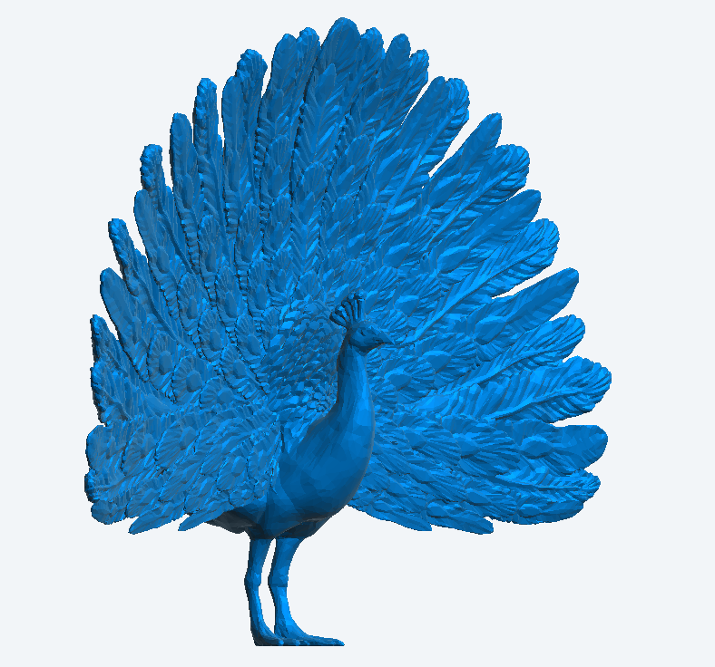 Multi Scale Peacock with Wings Spread A65