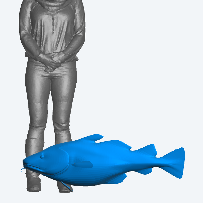 Scale Model A35 Ocean Fish