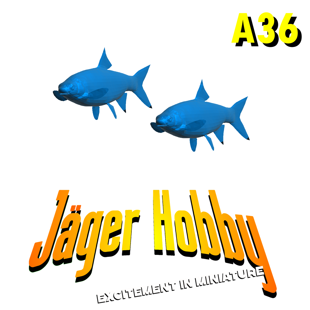 A36 – Set of 2 Scale Model Fish