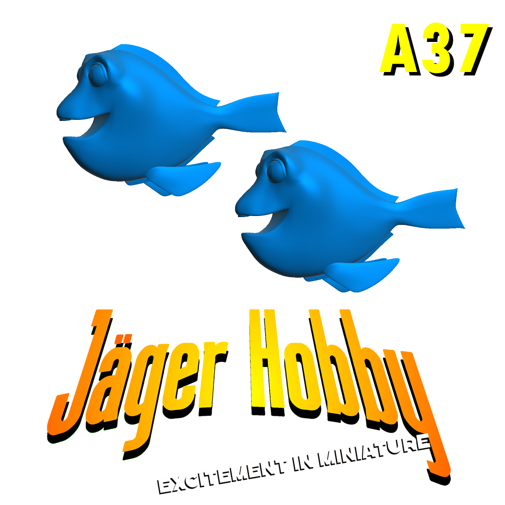 A37 – Cute & Funny Model Dory Fish