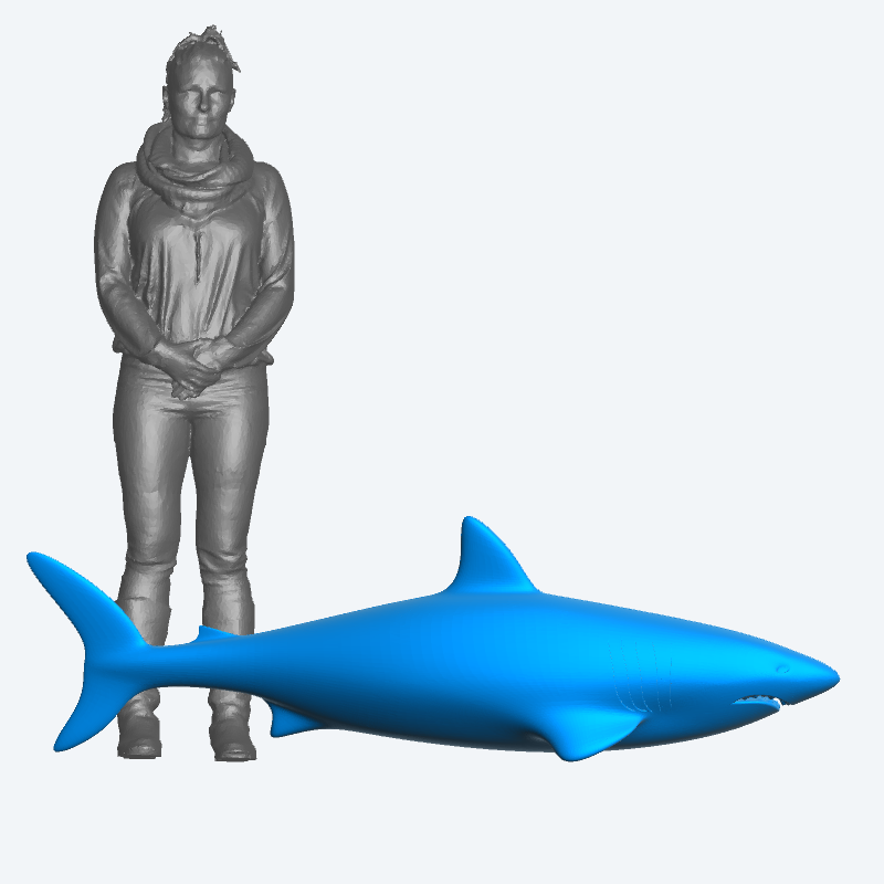 Shark Miniature Model for Marine, Fishing, A40