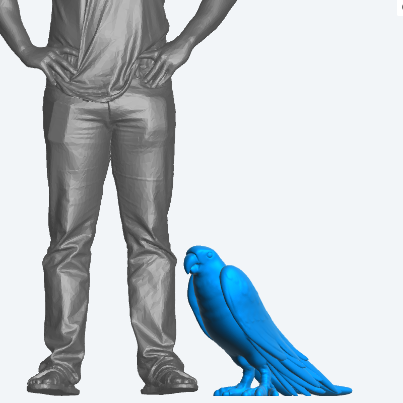 Scale Model Pirate Parrot Standing A60