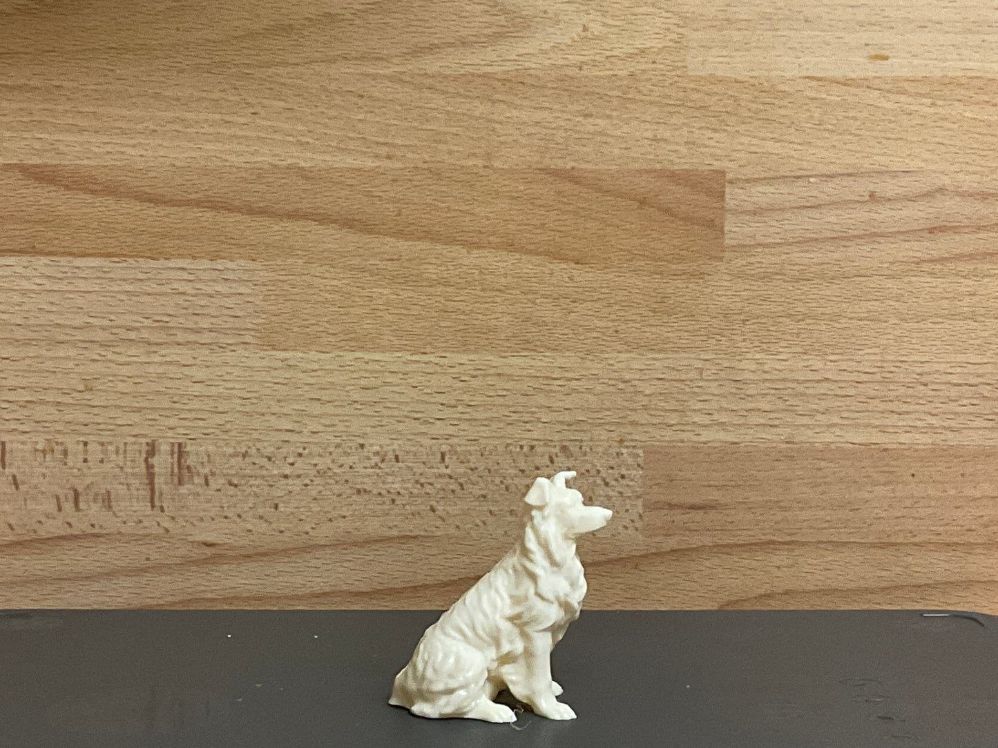 A4 Scale Model Border Collie Sheepdog Figure | Jager Hobby