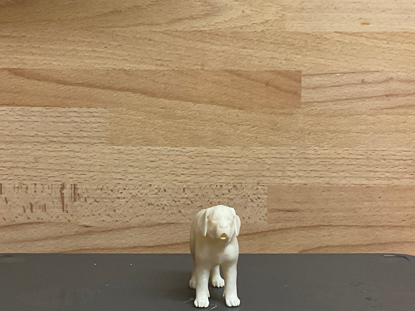 A16 1/24 Multiple Scale Model St. Bernard – Thoughtful & Majestic Companion