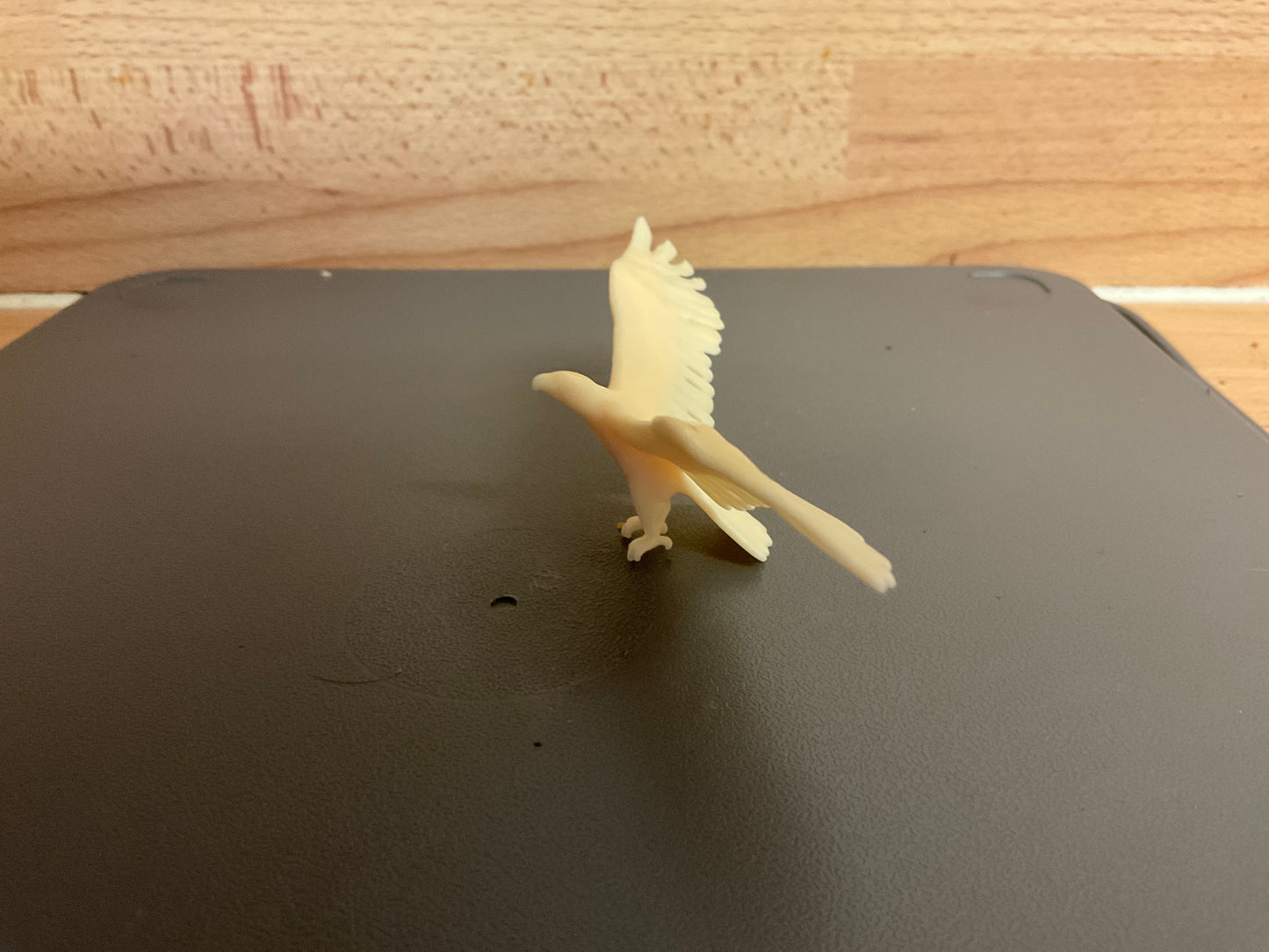 1:14 Scale Eagle Flying for Wildlife, Adventure Dioramas A50
