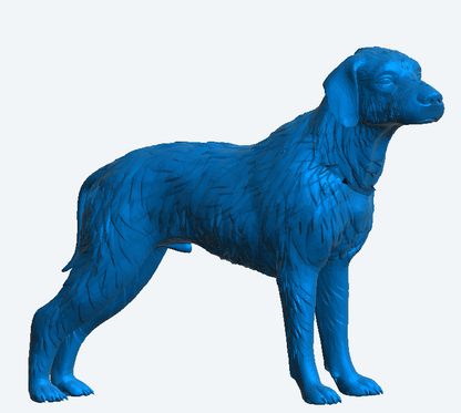 A20 Scale Model English Pointer – Elegant, Alert, and Ready for Action