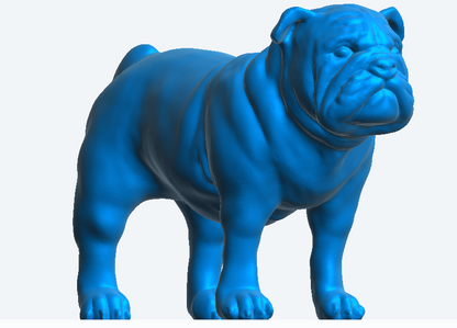 A25 English Bulldog – Highly Detailed Scale Model Figure