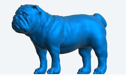 A25 English Bulldog – Highly Detailed Scale Model Figure