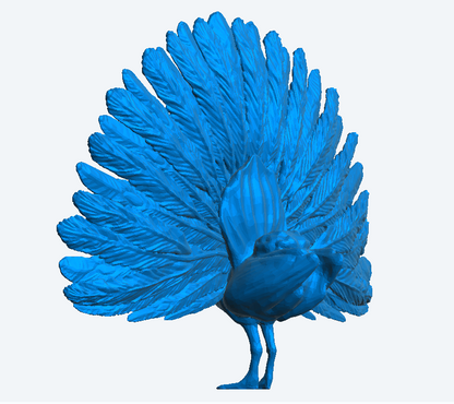 A65 – Peacock with Wings Spread for Exotic, Garden, and Wildlife Dioramas