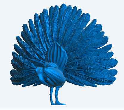 A65 – Peacock with Wings Spread for Exotic, Garden, and Wildlife Dioramas