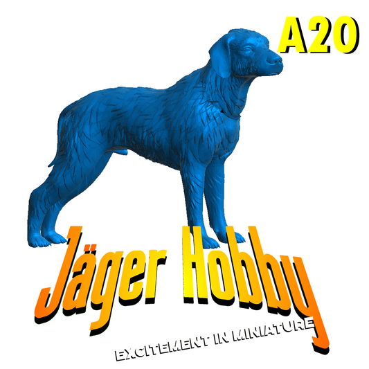 A20 Scale Model English Pointer – Elegant, Alert, and Ready for Action