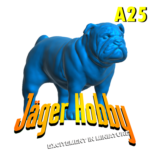 A25 English Bulldog – Highly Detailed Scale Model Figure