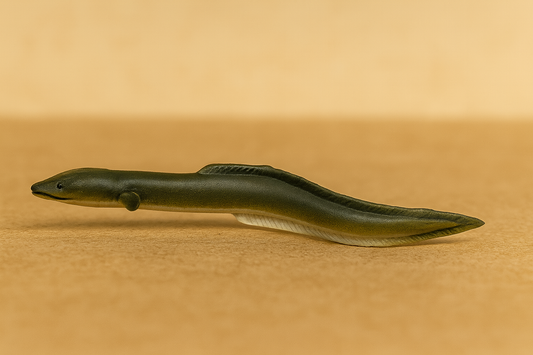 A45 – EEL for Fantasy, Deep-Sea, or Exotic Market Dioramas