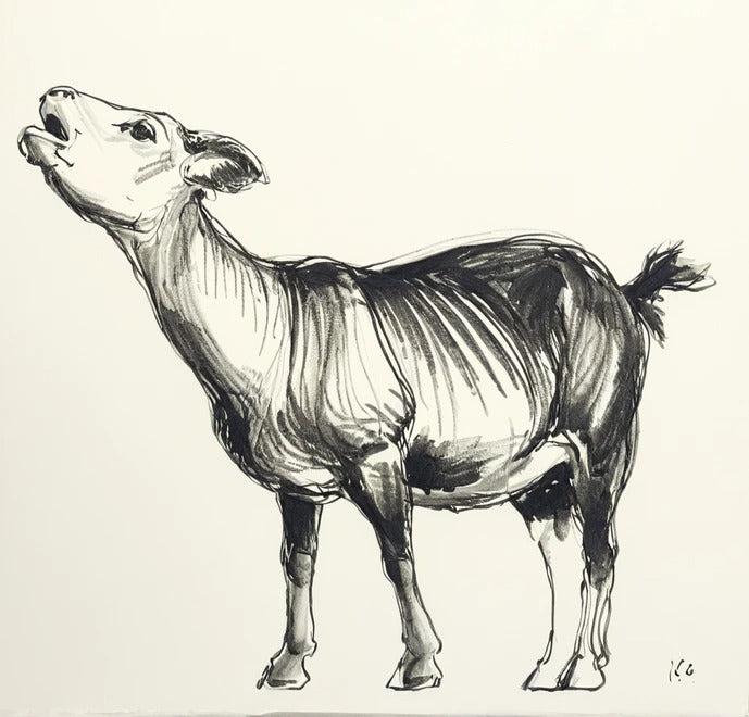 Work in Progress – Diddly Squat Scale model Goats  25 July